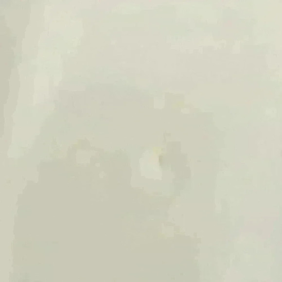 Signed Antique MZ Austria 8‎ 1/2" Hand Pained Art Plate Bird Cherry Blossoms - Picture 6 of 6